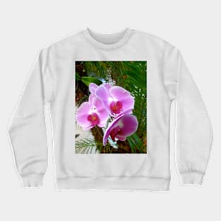 Lavender Orchid Crewneck Sweatshirt